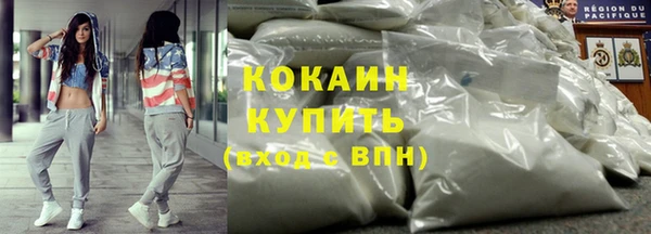 прущий лед Алзамай