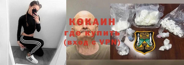 прущий лед Алзамай