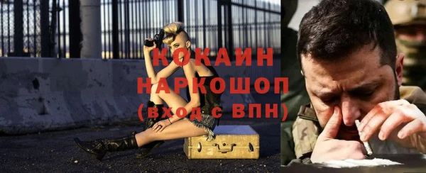 прущий лед Алзамай
