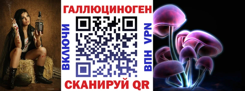 Псилоцибиновые грибы Psilocybe  Нововоронеж 